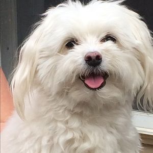 Meet your Posher, Kellie